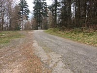 Col de la Vierge von La Bresse