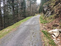 Col de la Vierge von La Bresse