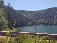 Col de la Vierge von La Bresse