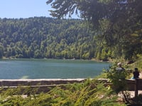 Col de la Vierge von La Bresse