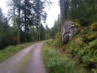 Col de la Vierge vanuit Travexin via Col du Bockloch