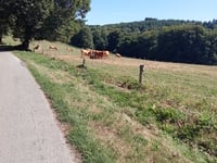 Col de Laléger von Châtelus-le-Marcheix