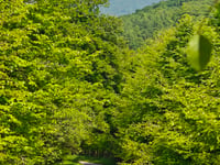 Col de Lindus von Banca über Col d'Hauzay