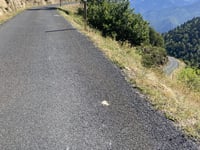 Col de Mantet
