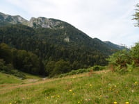 Col de Marie-Blanque da Bielle