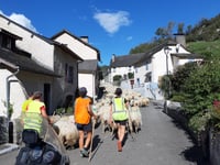 Col de Marie-Blanque von Escot