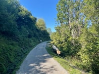 Col de Marmare da Savignac les Ormeaux