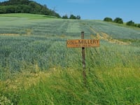 Col de Millery
