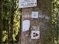 Col de Morbieux von Ramonchamp