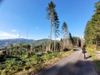 Col de Morbieux von Ramonchamp