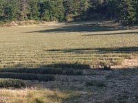 Col de Notre Dame des Abeilles
