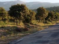 Col de Notre Dame des Abeilles
