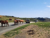 Col de Pailhères da Ax-les-Thermes