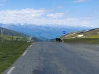 Col de Pailhères desde Ax-les-Thermes