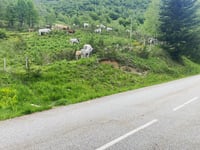 Col de Pailhères da Ax-les-Thermes
