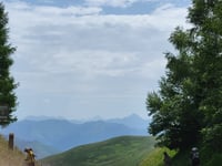 Col de Peyresourde