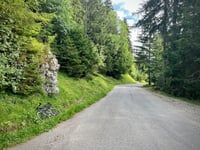 Col de Plan Bois vanuit Les Clefs