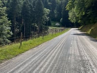 Col du Platzerwasel vanuit Metzeral