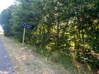 Col du Platzerwasel from Metzeral