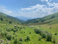 Col de Port from Massat