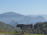 Col de Port depuis Tarascon sur Ariège