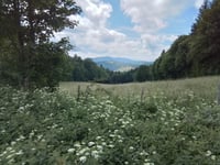 Col de Portes / Calvaire de Portes