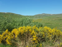 Col de Prat de Bouc von Pignou