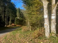 Col de Prayé from Moussey