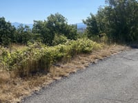 Col de Puimichel vanuit Malijai