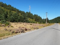 Col de Saint Barnabé von La Cite