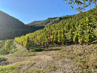 Col de Saint Romain de Lerps depuis Châteaubourg