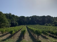 Col de Sainte Anne