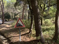Col de Sainte Anne