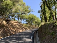 Col de Sainte Anne