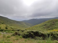 Col de San Colombano von Gare de Pietralba