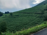 Col de Saoucède from Germs sur l'Oussouet