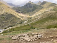 Col de Sarenne from Alpe d'Huez