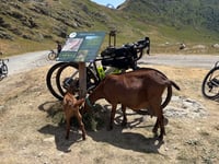 Col de Sarenne von Alpe d'Huez