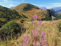 Col de Sarenne from Alpe d'Huez