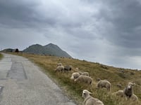 Col de Sarenne