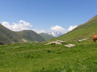 Col de Sarenne