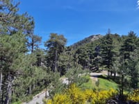 Col de Sorba
