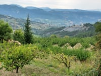 Col de Soubeyrand von Sainte Jalle