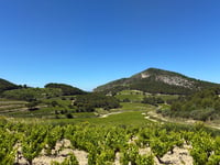 Col de Suzette