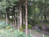 Col de Tamié von Faverges