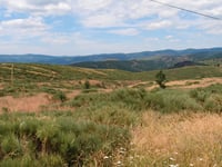 Col de Teste Rouge da Montselgues