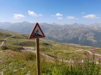 Col de Tougnète vanuit Moutiers via D96