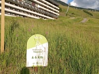 Col de Tougnète da Moutiers via D96
