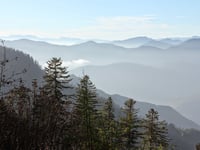 Col de Turini por La Bollène-Vésubie