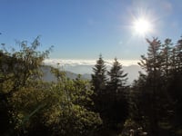 Col de Turini por La Bollène-Vésubie